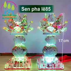 Sen pha lê 85