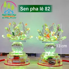 Sen pha lê 82