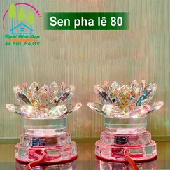 Sen pha lê 80