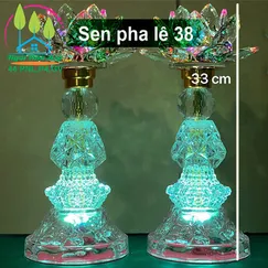 Sen pha lê 38