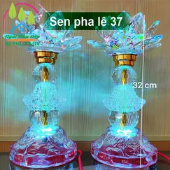 Sen pha lê 37