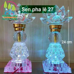 Sen pha lê 27