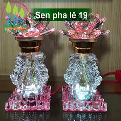 Sen pha lê 19