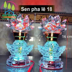 Sen pha lê 18