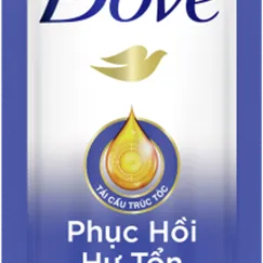 Dầu Gội Dove phục hồi hư tổn 6gx10gói
