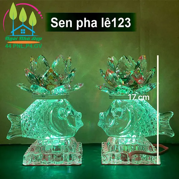 Sen pha lê 123