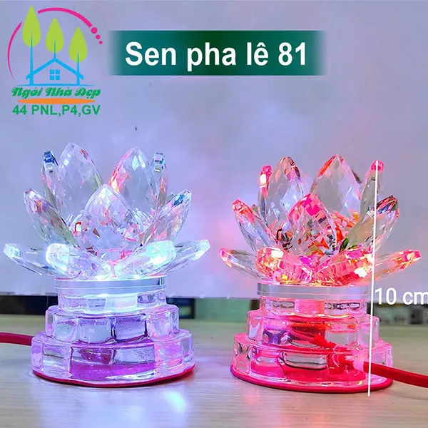 Sen pha lê 81