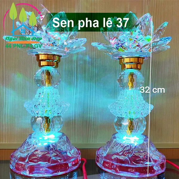 Sen pha lê 37