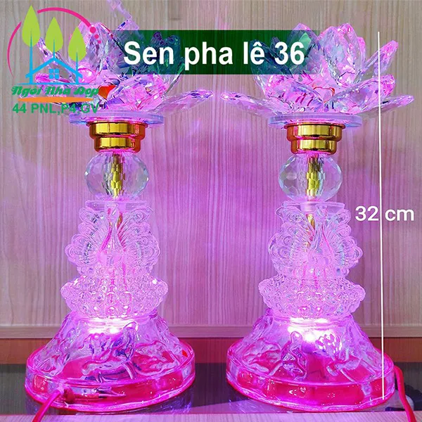 Sen pha lê 36