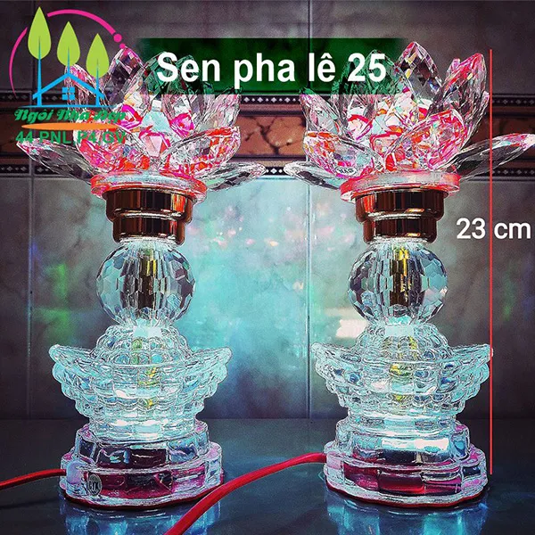 Sen pha lê 25