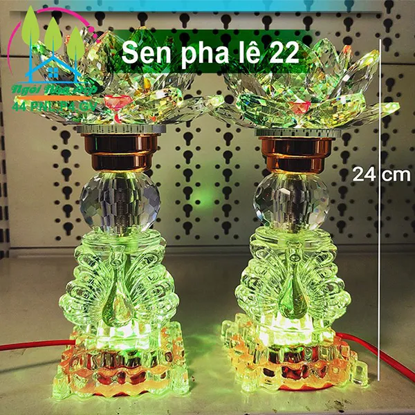 Sen pha lê 22