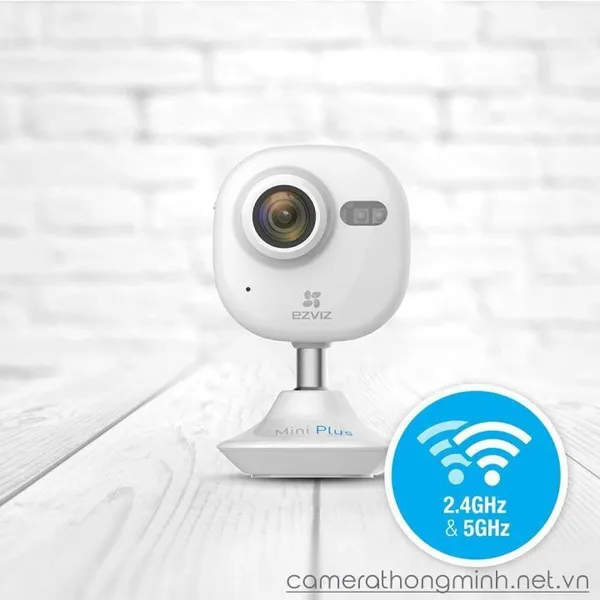 Mini Plus