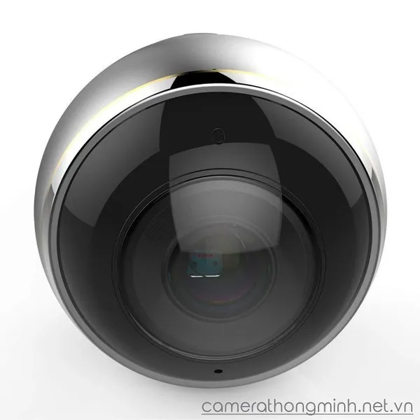 C6P