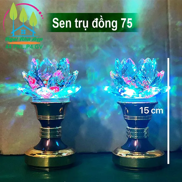 Sen trụ đồng 75