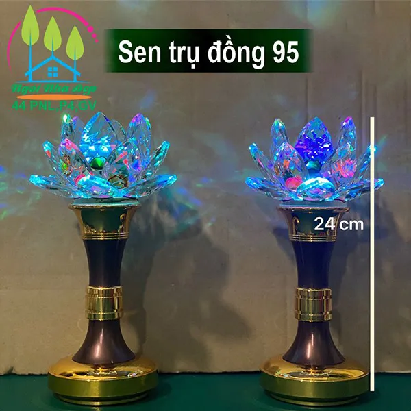 Sen trụ đồng 95