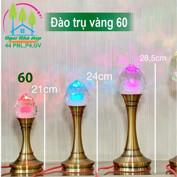 Đào trụ vàng 60