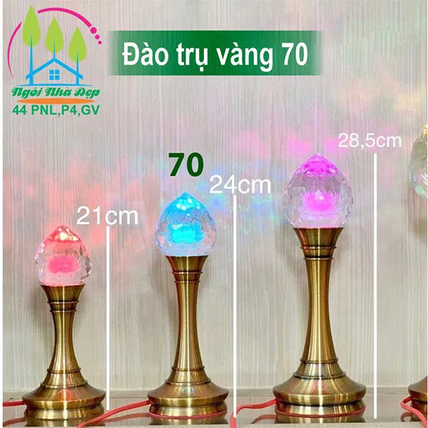 Đào trụ vàng 70
