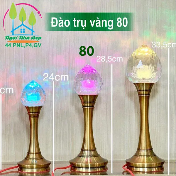 Đào trụ vàng 80