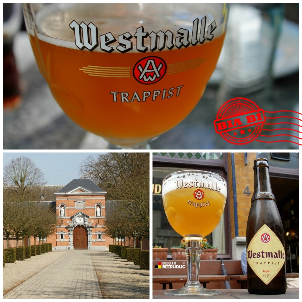 Bia thầy tu Bỉ Trappist Westmalle Tripel 9,5% Bia thầy tu Bỉ Trappist Westmalle Tripel 9,5%