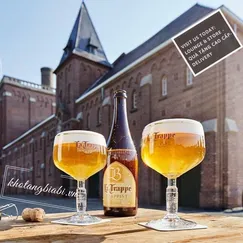 Bia thầy tu La Trappe Blond Trappist 6,5% I Thưởng thức Bia hay là Sự tĩnh lặng?!