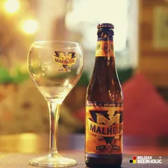 Bia giải thưởngI Malheur 10 - Bia vàng Ngon Nhất Thế Giới 10% Abv