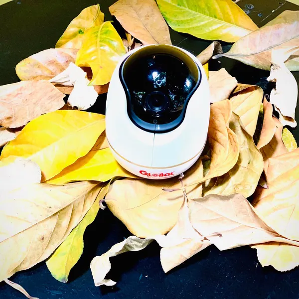 Camera IP Wifi Global IOT-03 2.0MP Chính hãng