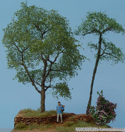 Mô hình cây óc chó (trái) Mô hình cây óc chó (trái)