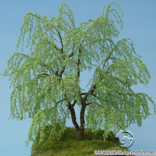 Cận cảnh mô hình cây Liễu Cận cảnh mô hình cây Liễu