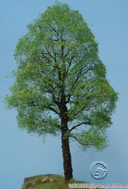 Mô hình kiến trúc cây Du Mô hình kiến trúc cây Du