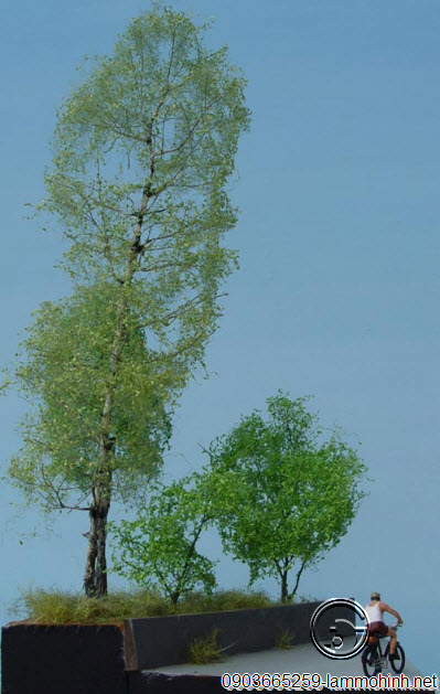 Cận cảnh mô hình cây Phong vào mùa xuân Cận cảnh mô hình cây Phong vào mùa xuân