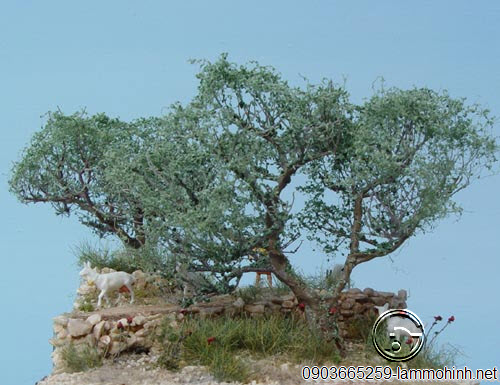 Cận cảnh mô hình cây Ôliu Cận cảnh mô hình cây Ôliu