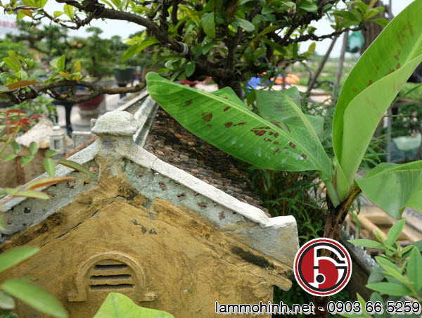 Anh Trường chia sẻ, anh mất nhiều công để tìm được các cây phù hợp cho khuôn viên của mô hình kiến trúc, hãm cho chúng không được lớn, phá vỡ không gian mô hình Anh Trường chia sẻ, anh mất nhiều công để tìm được các cây phù hợp cho khuôn viên của mô hình kiến trúc, hãm cho chúng không được lớn, phá vỡ không gian mô hình