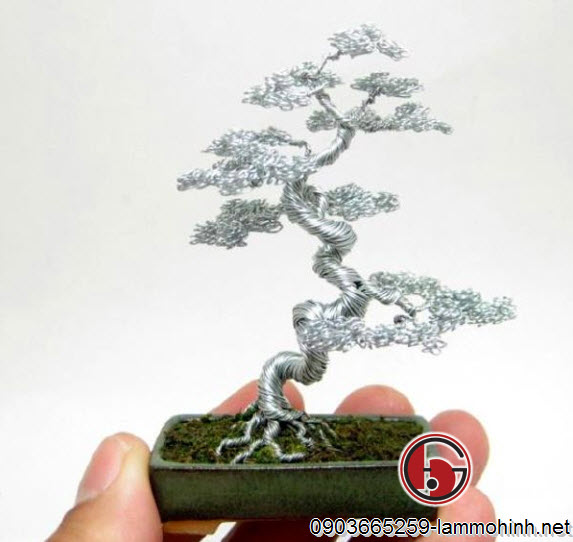 Cây bonsai kẽm có tính bền cao Cây bonsai kẽm có tính bền cao