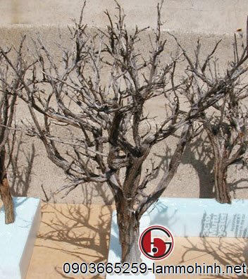 Cận cảnh 1 cây mô hình bằng cành gỗ Cận cảnh 1 cây mô hình bằng cành gỗ