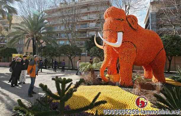 Mô hình voi ma mút làm từ chanh Mô hình voi ma mút làm từ chanh