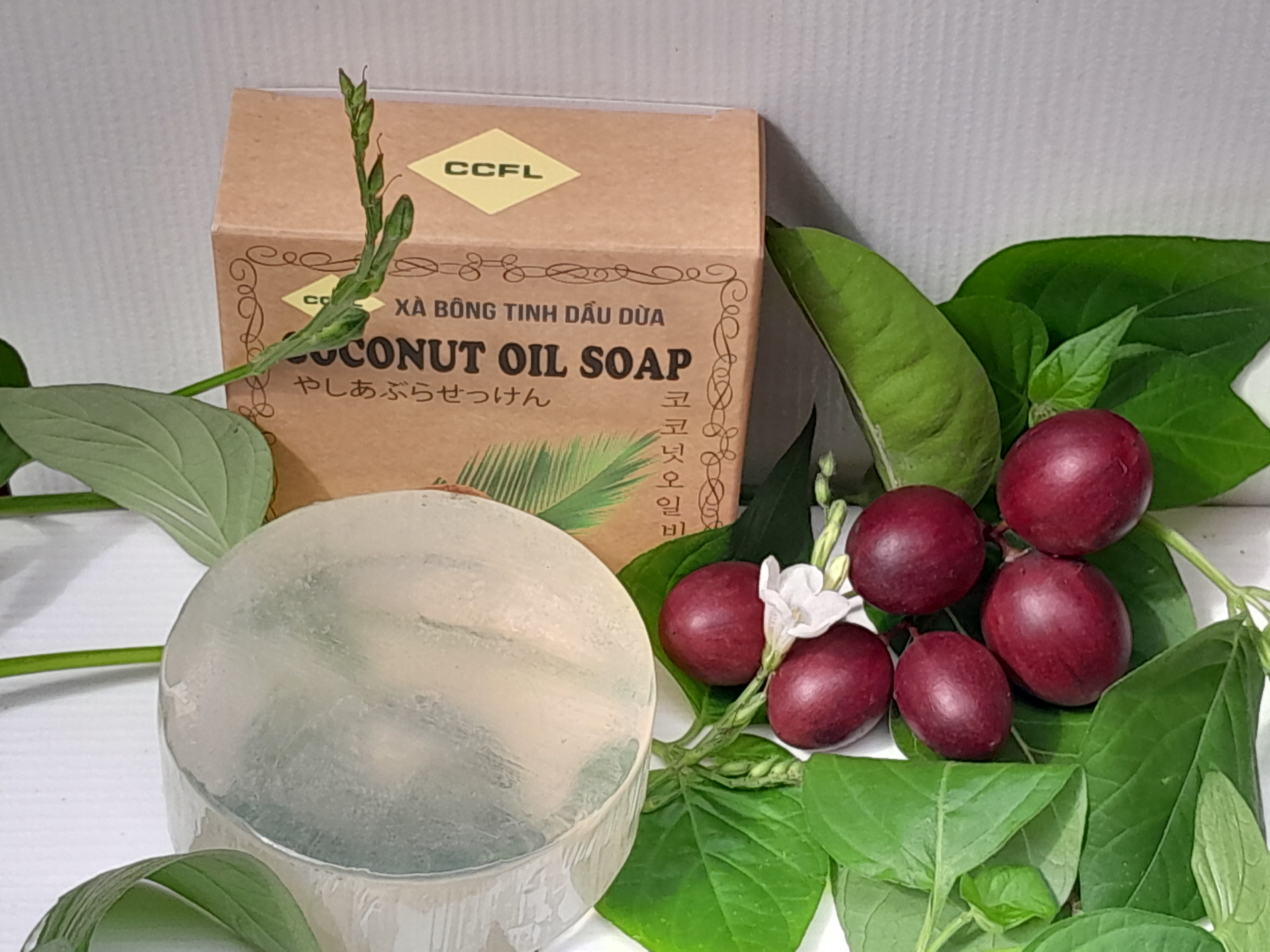 bệnh viêm nang lông bệnh viêm nang lông