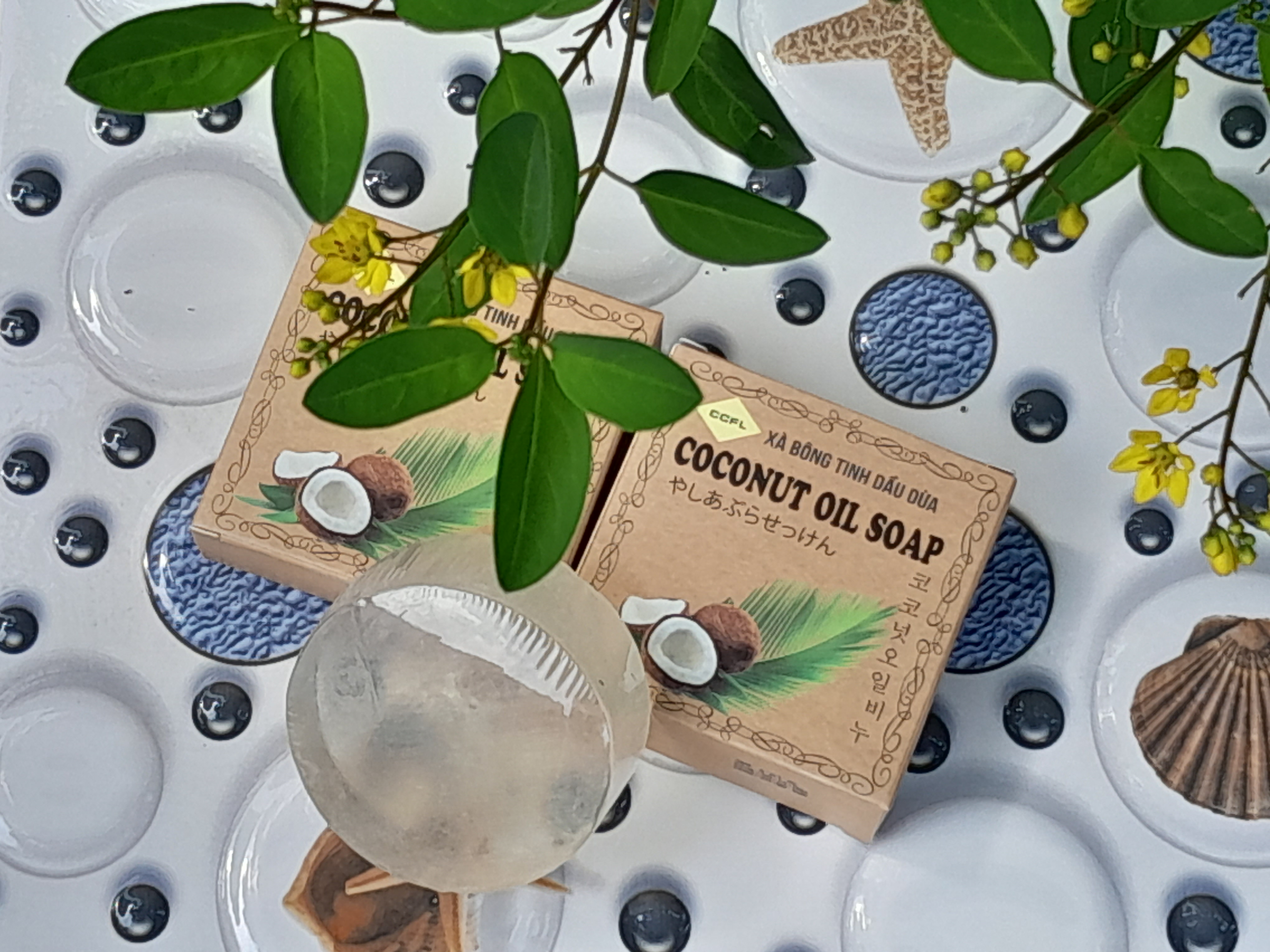 bị chàm khô bị chàm khô