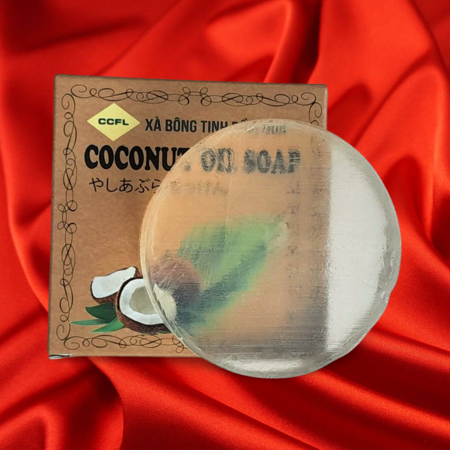 bị chàm khô bị chàm khô