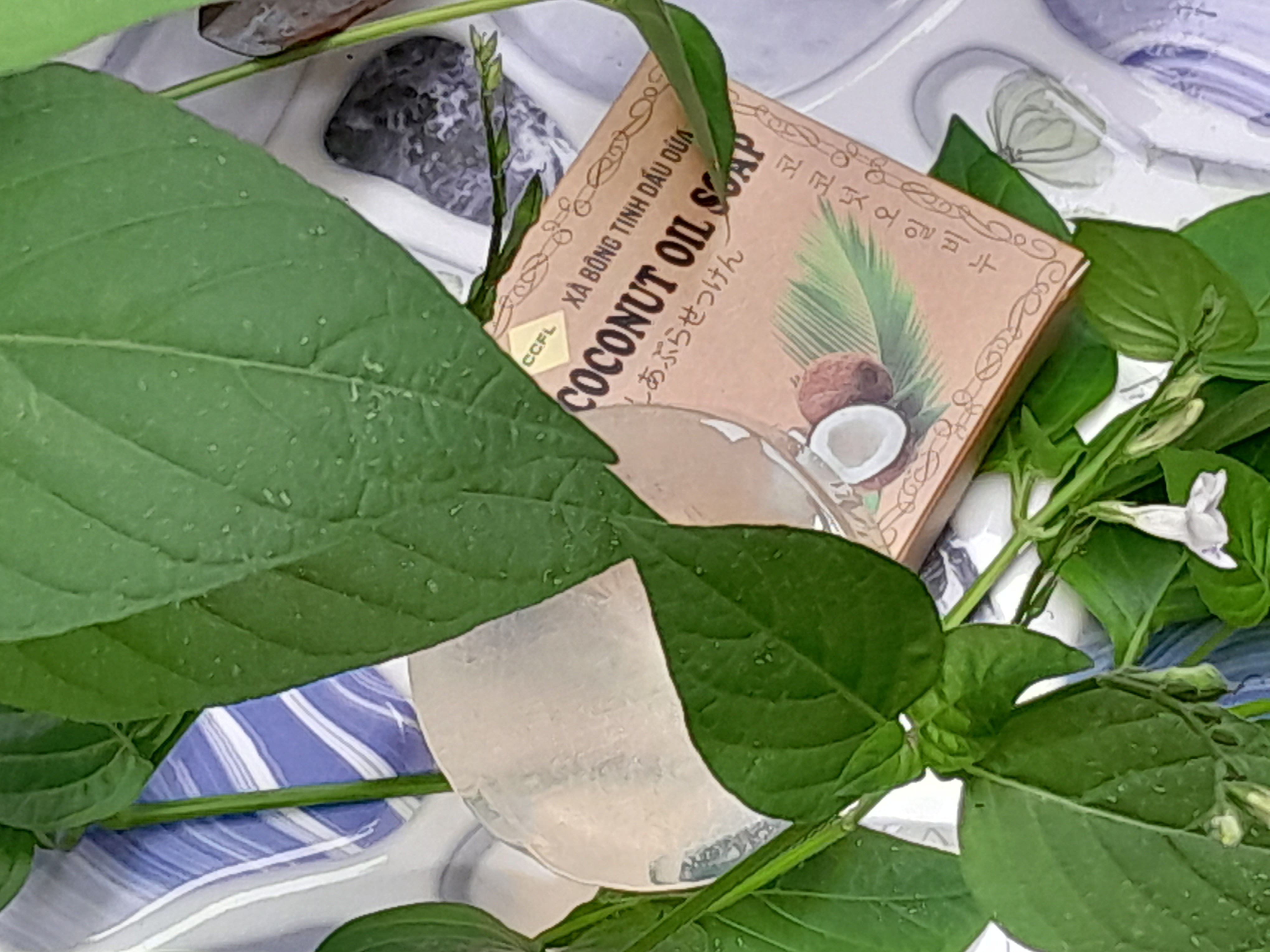 trị viêm nang lông tại nhà trị viêm nang lông tại nhà