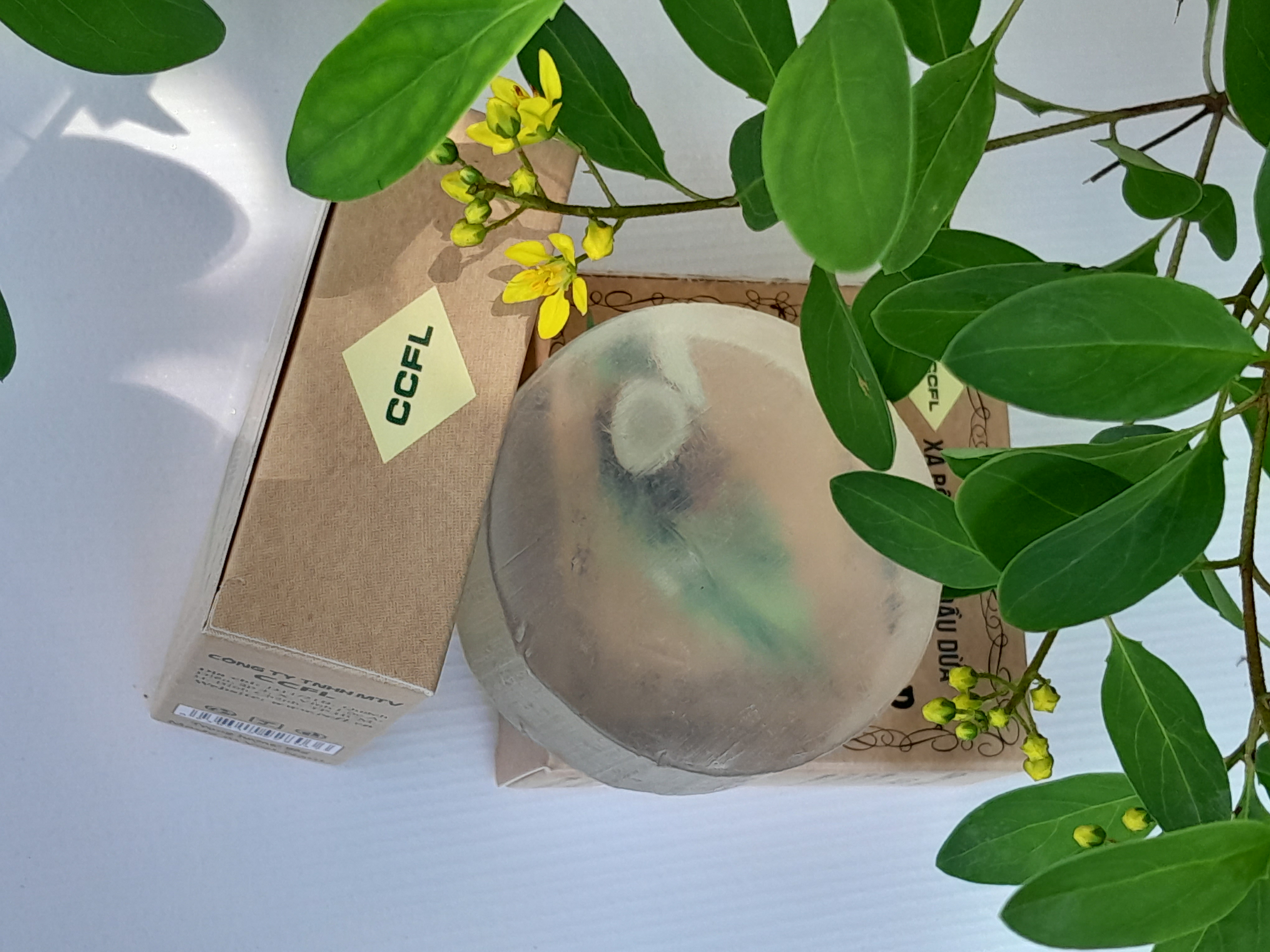 bánh xà phòng trị mụn lưng bánh xà phòng trị mụn lưng