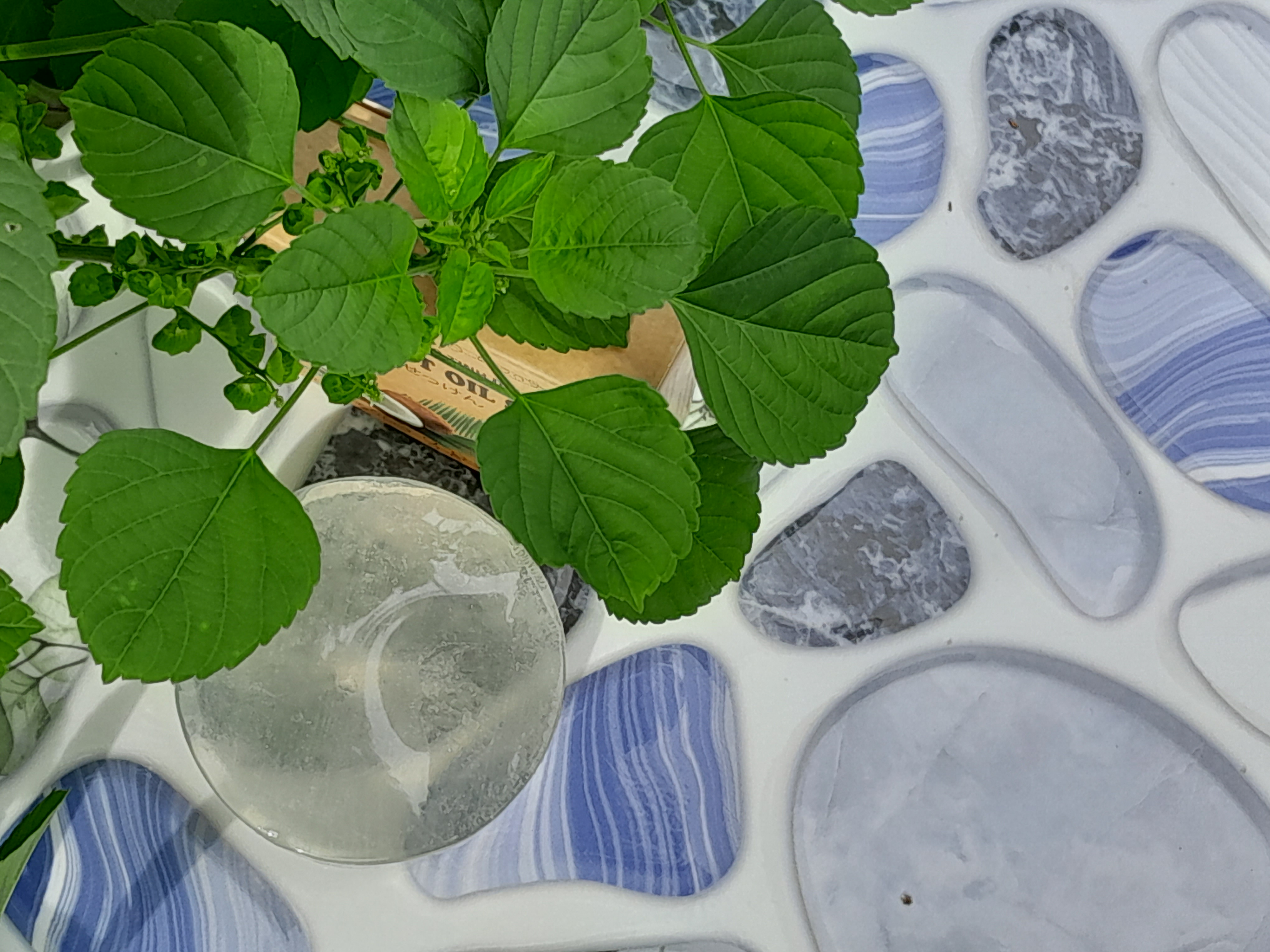 xà phòng tri mụn lưng xà phòng tri mụn lưng