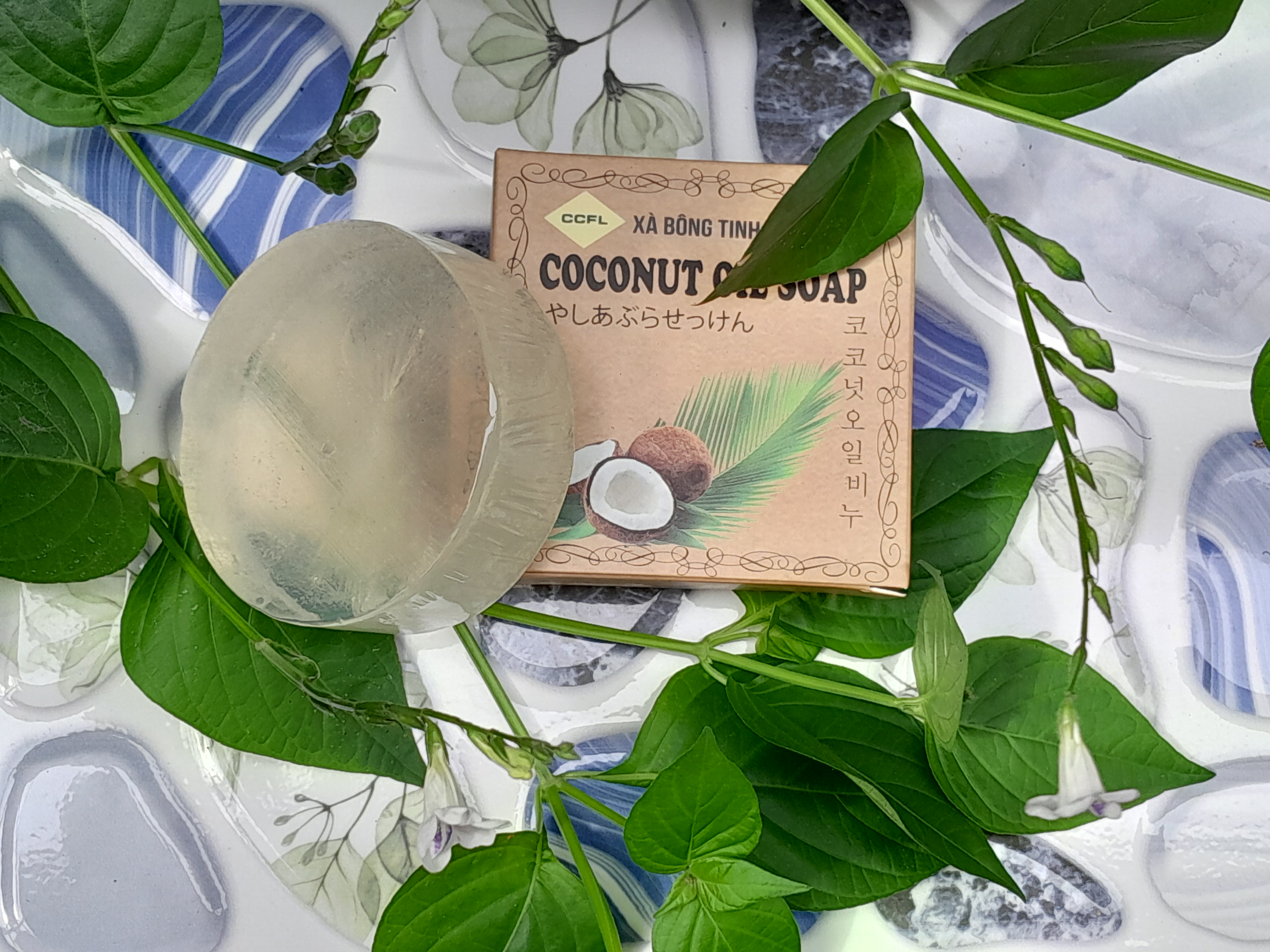 xà phòng dầu dừa xà phòng dầu dừa