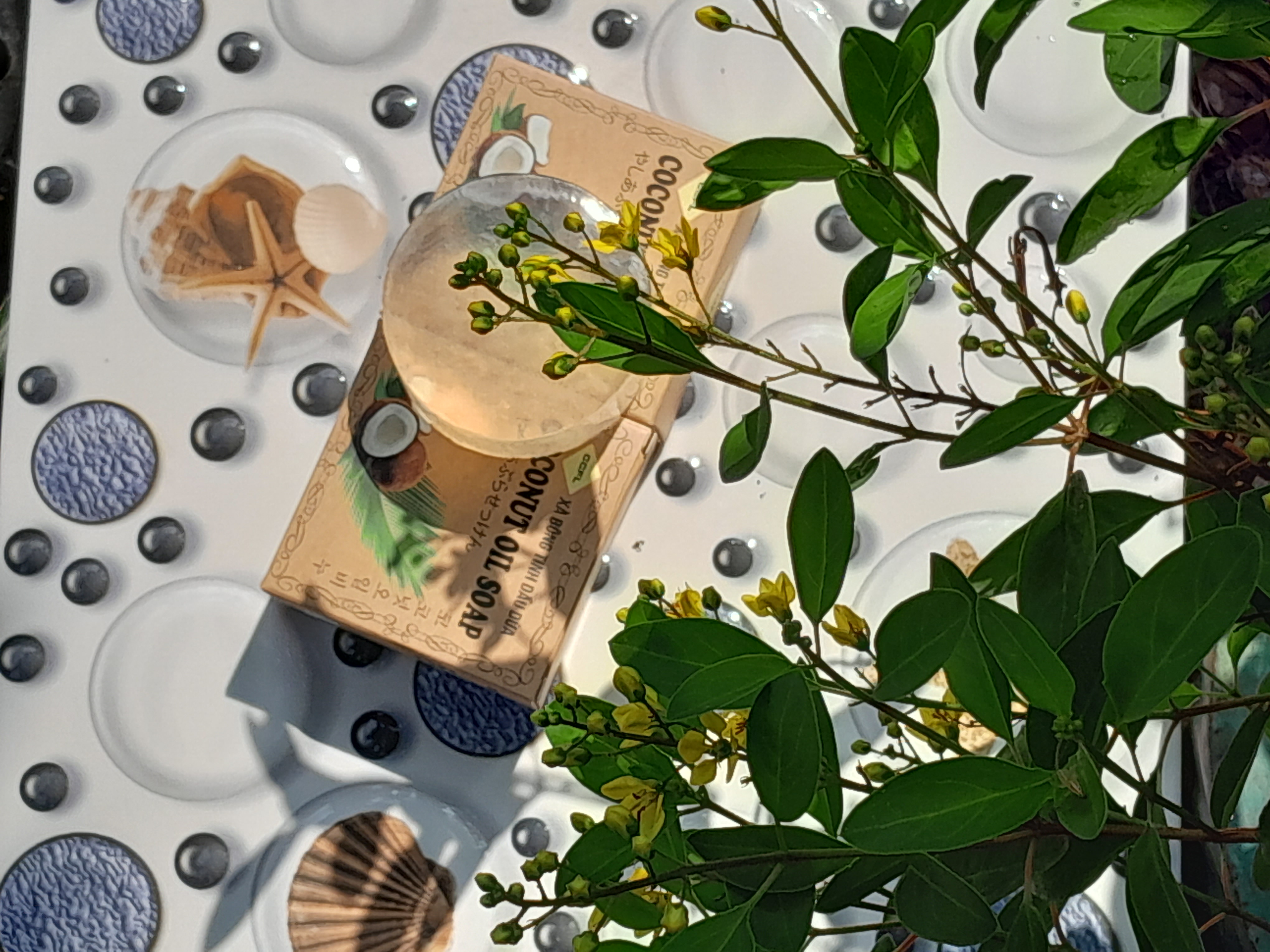 xà bông dừa xà bông dừa