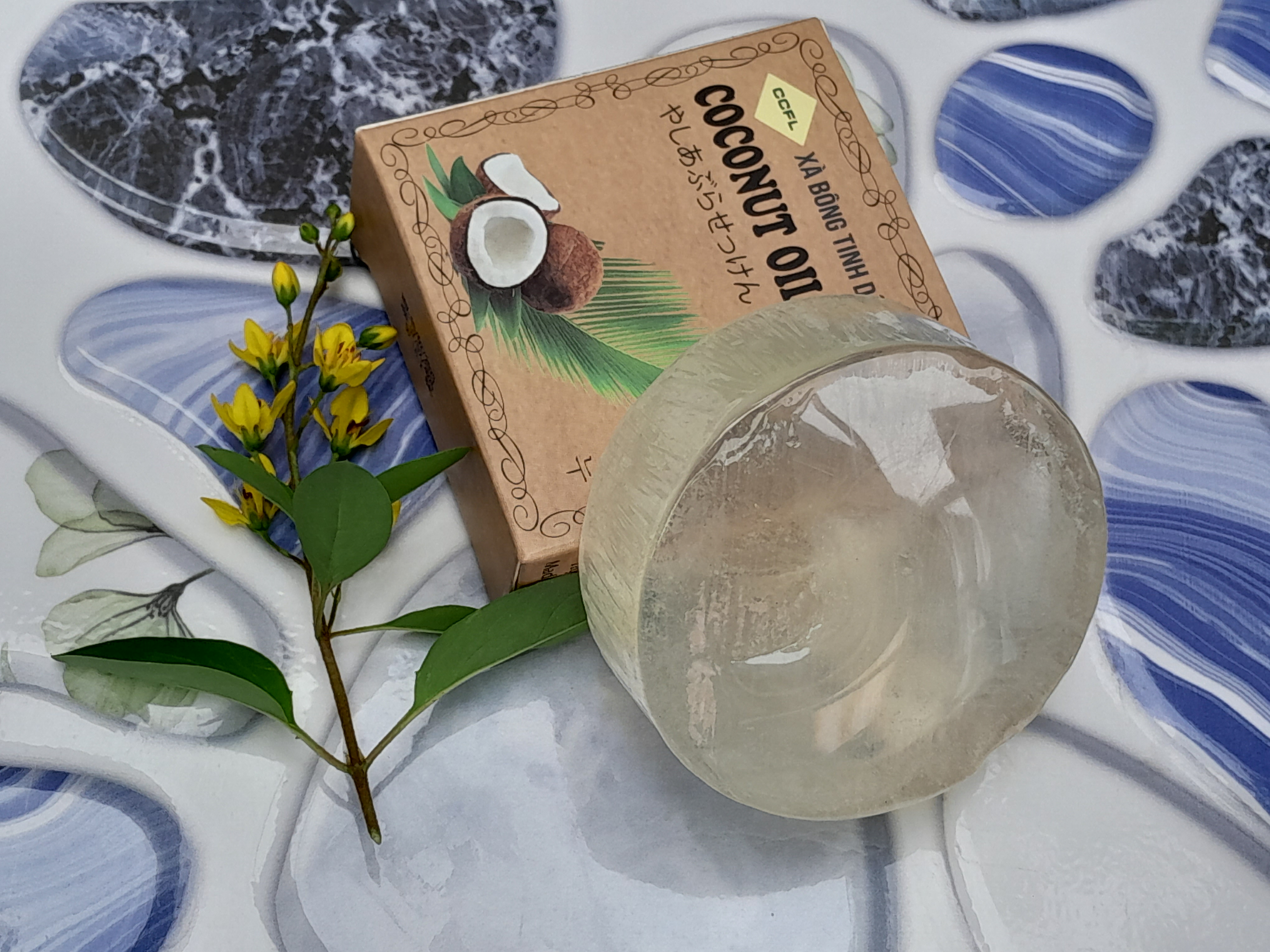 viem chan long viem chan long