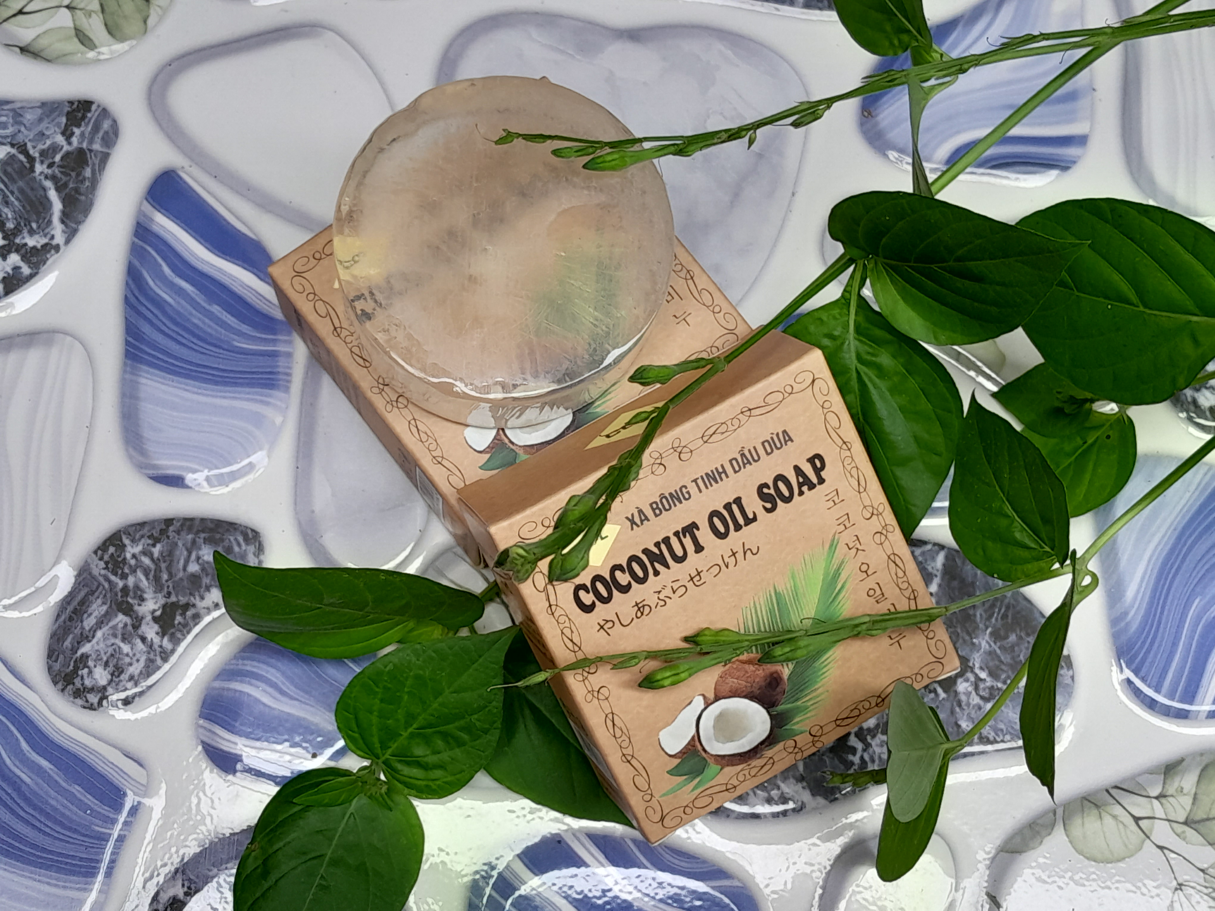 Xà Bông Dừa Xà Bông Dừa