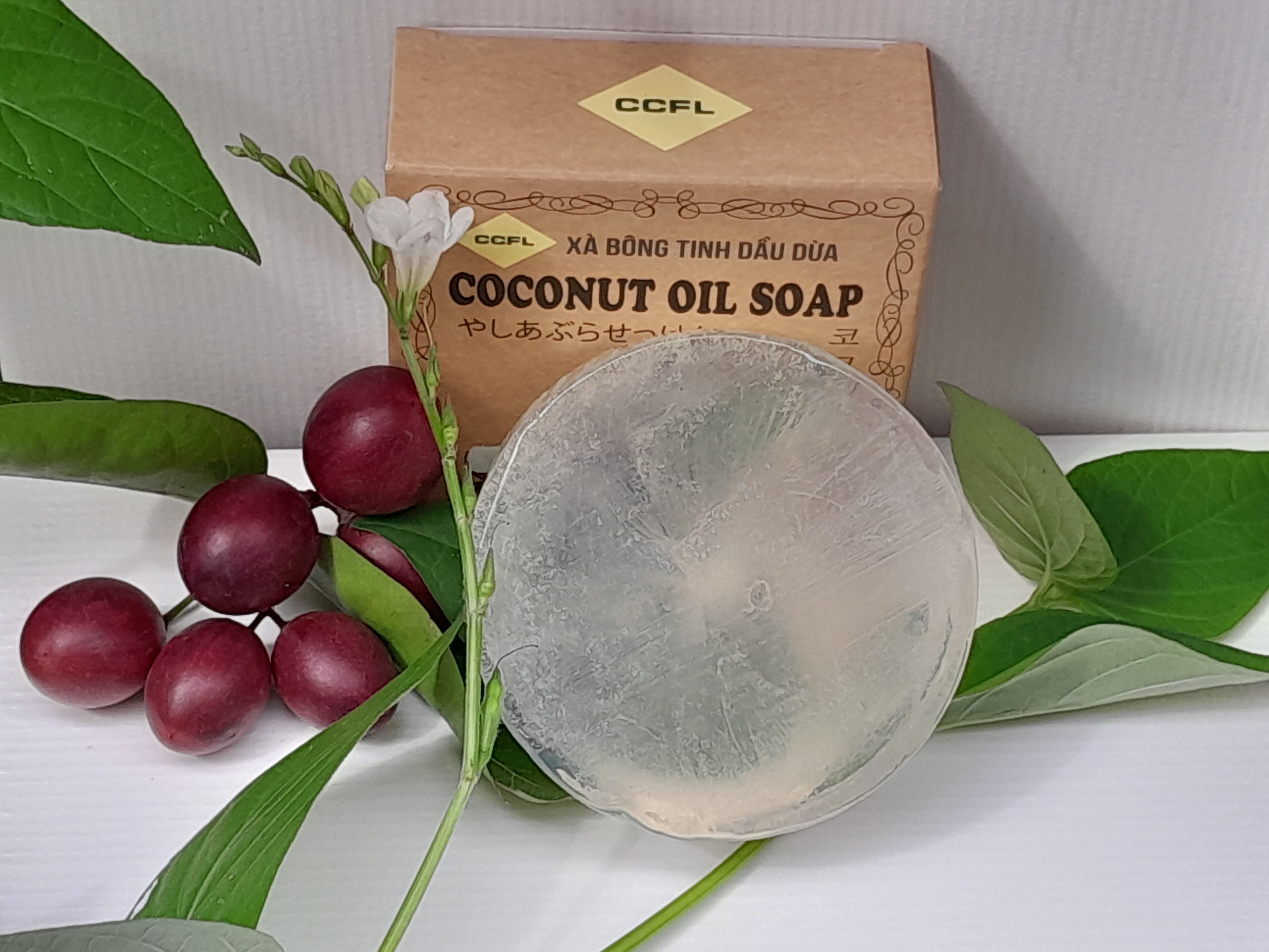 xà bông dầu dừa CCFL xà bông dầu dừa CCFL