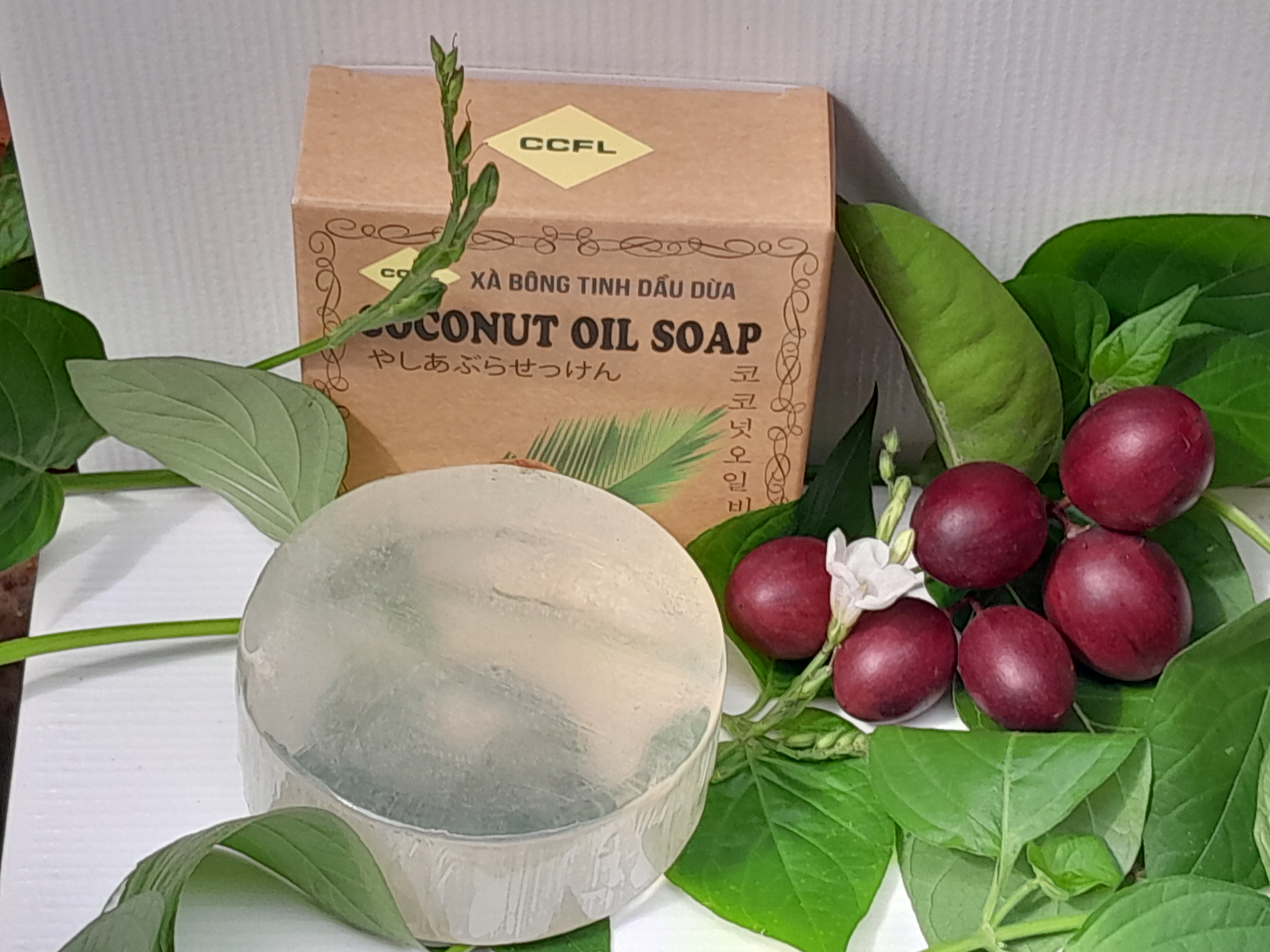 tác dụng của xà bông dừa tác dụng của xà bông dừa