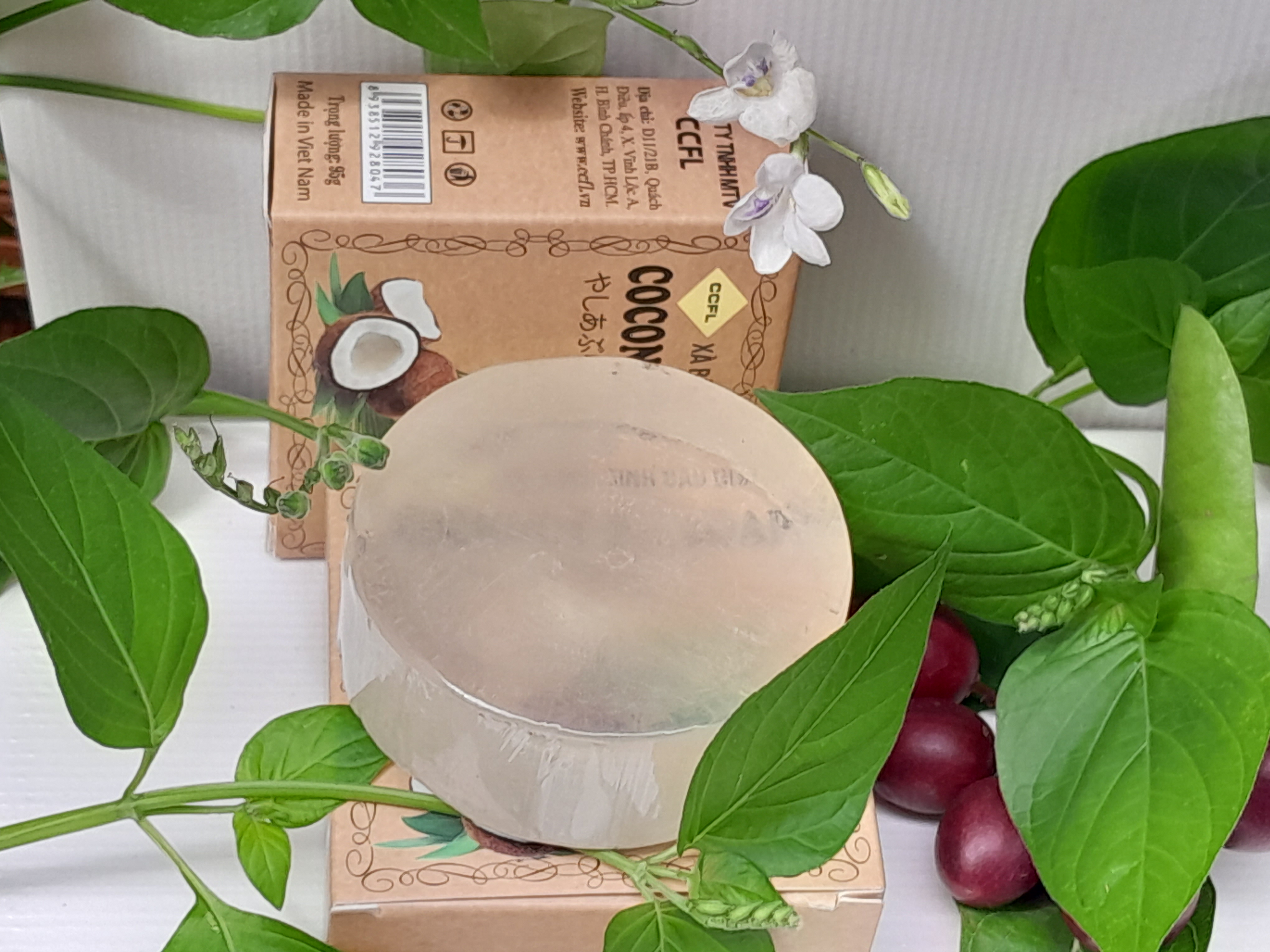 xà bông dừa xà bông dừa