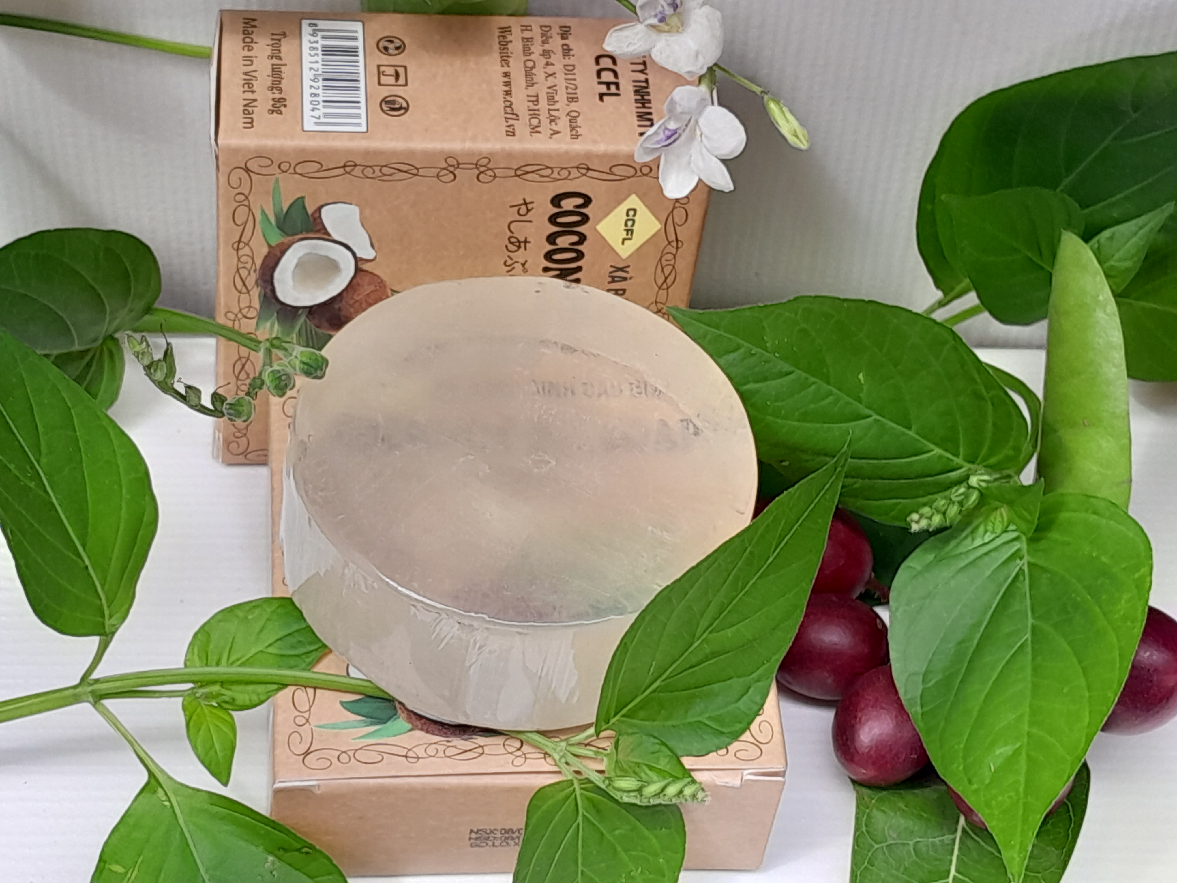 xà bông dầu dừa CCFL xà bông dầu dừa CCFL