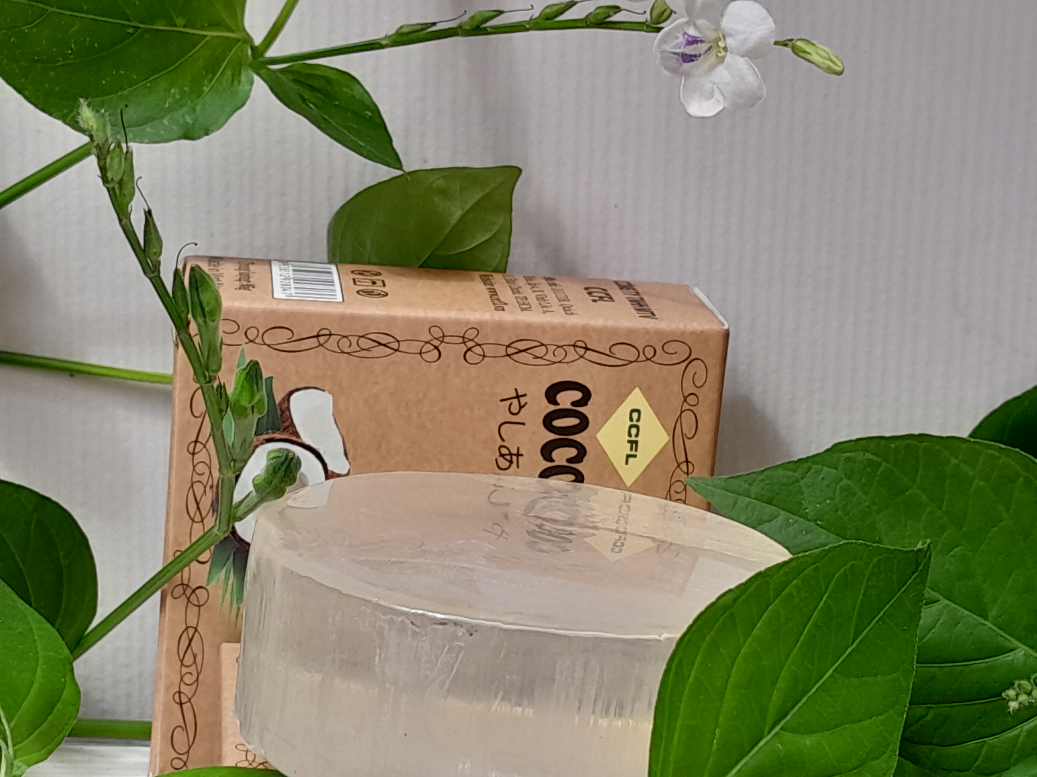 xà bông (xà phòng) tinh dầu dừa handmade CCFL xà bông (xà phòng) tinh dầu dừa handmade CCFL